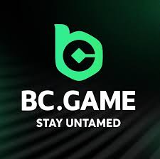 Exploring BC.Game A Comprehensive Guide to the Online Bookmaker