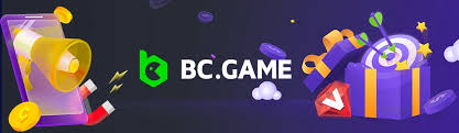 Exploring BC Platform App The Future of Business Connectivity